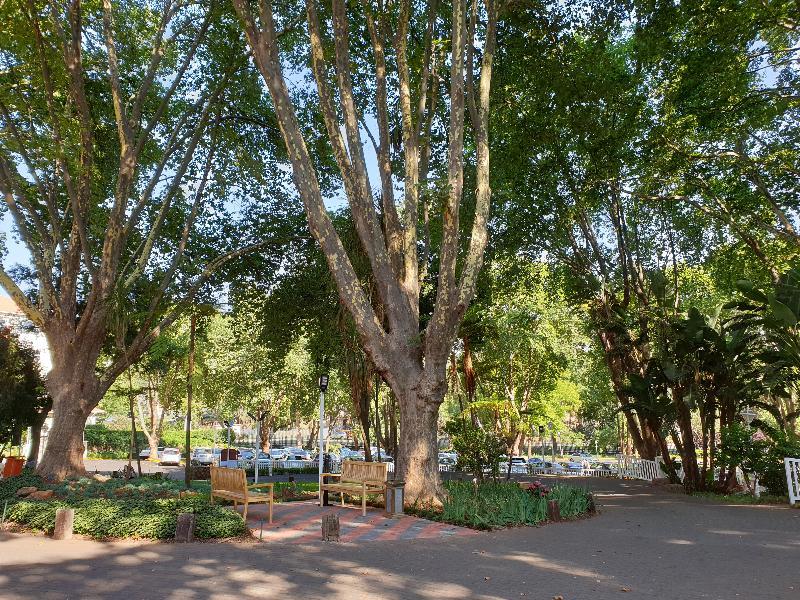 Holiday Inn - Johannesburg Sunnyside Park By Ihg Joanesburgo Exterior foto